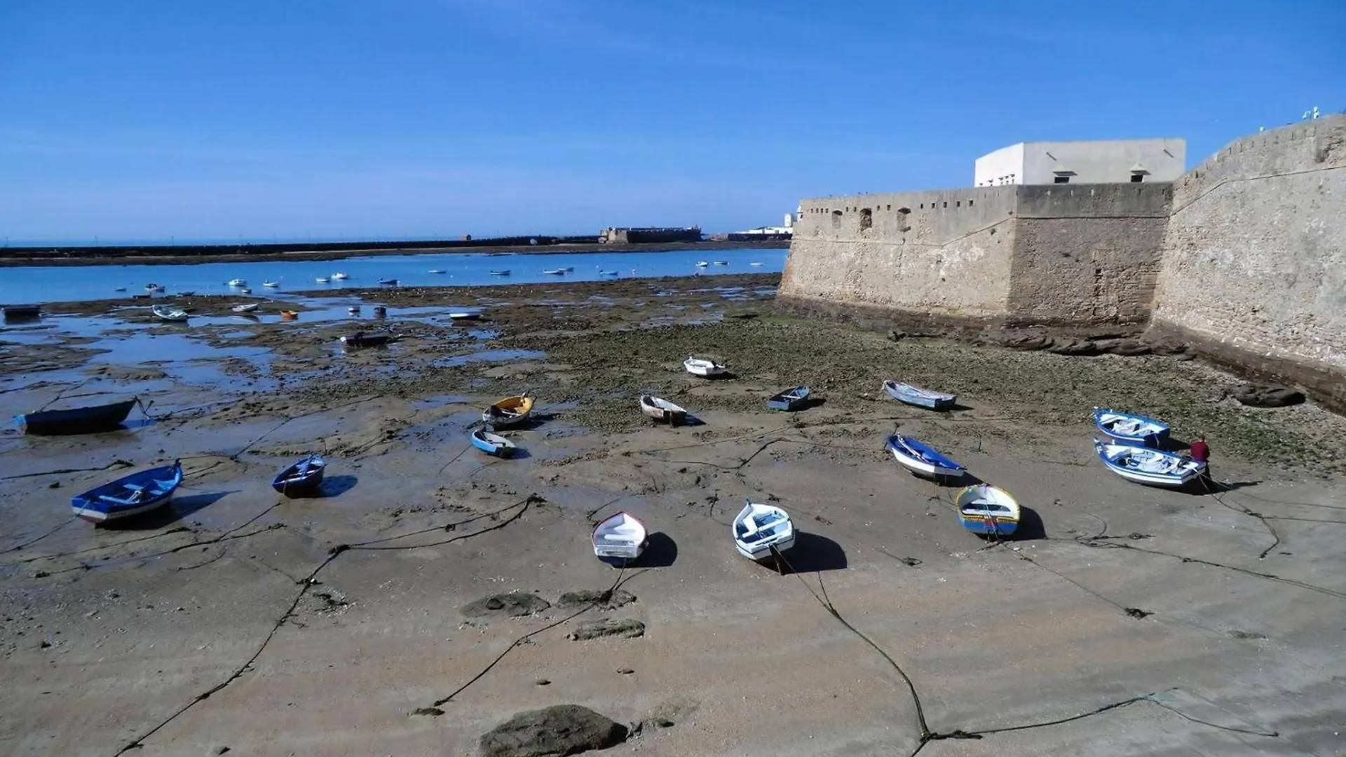 Grosse Wohnung In Cadiz, Kathedrale In Der Naehe Cadiz
